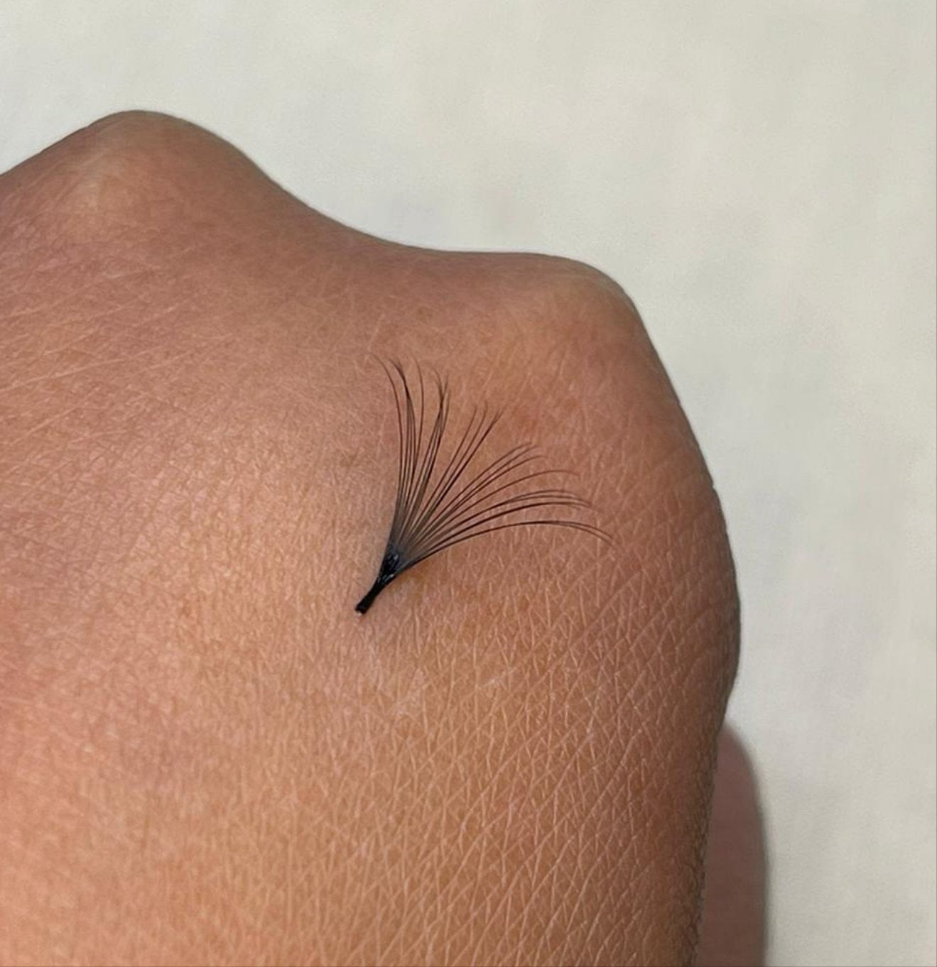 Lash Extensions - Abigail 0.05MM Fanning Lashes (CC) - Discontinued, Final Sale