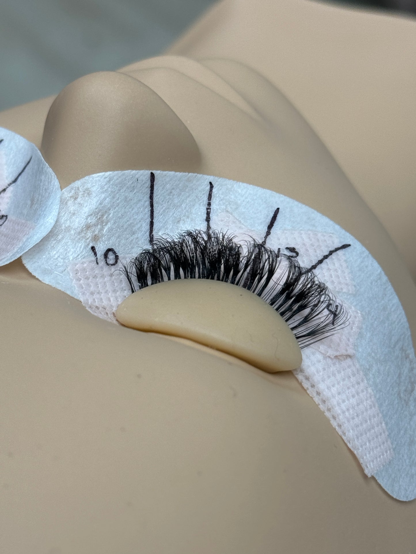 Three-Day Beginner Lash Artist Course