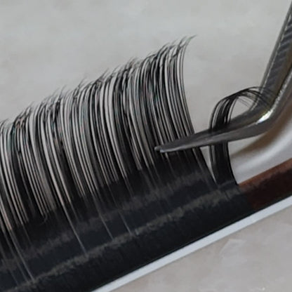 Lash Extensions - Abigail 0.05MM Fanning Lashes (CC) - Discontinued, Final Sale